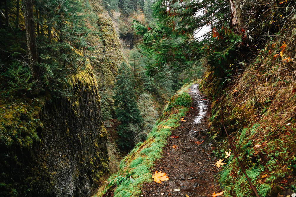 A remote hiking trail that's one of the more unique things to do in Hood River.