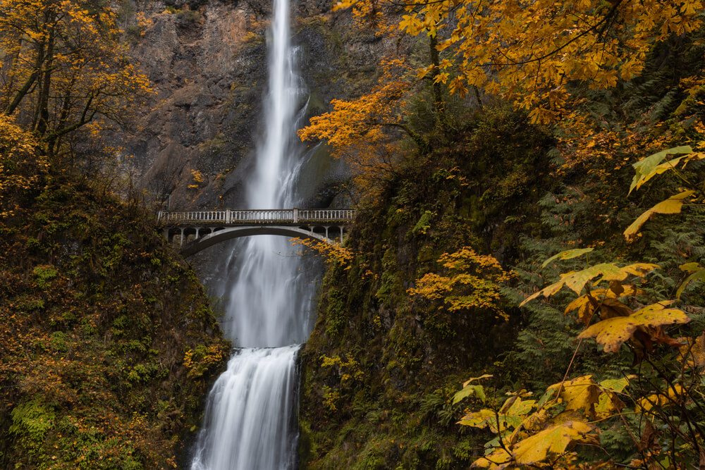 Fall foliage at a waterfall in the Columbia River Gorge.